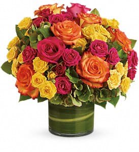 Blossoms in Vogue Flower Arrangement Blossoms in Vogue Flower Bouquet