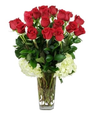 Two dozen Roses Flower Bouquet