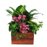 RPV-622 Flower Bouquet