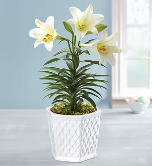 Easter Blessing Lily
 Flower Bouquet