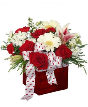 CHRISTMAS RIBBON & ROSES Flower Bouquet