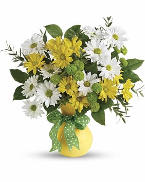 Teleflora's Daisies And Dots Bouquet Flower Bouquet