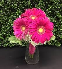 Gerber Daisy Nosegay Flower Bouquet