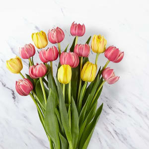 20 Sunny Spring Tulips with Vase Flower Bouquet