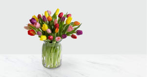 Rush of Color Assorted Tulip Bouquet Flower Bouquet