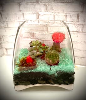 Vesuvius Terrarium Flower Bouquet