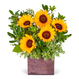 Field of Sunflowers Flower Bouquet