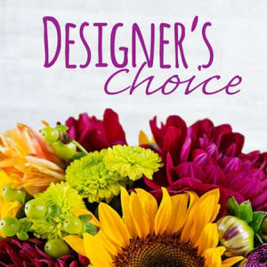 Designers Choice