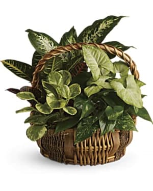 Emerald Garden Basket Flower Bouquet