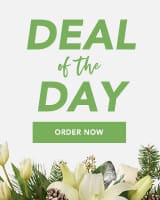 Christmas Deal of the Day Flower Bouquet