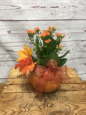 Blooming Kalanchoe Plant In Ceramic Pumpkin Flower Bouquet