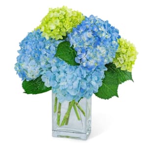 Coastal Calm Flower Bouquet
