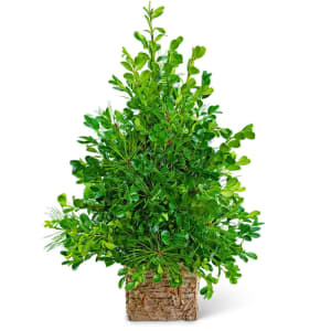 Bare Boxwood Tree Flower Bouquet