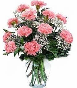 One Dz. Carnations in Garden Vase Flower Bouquet