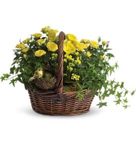 Yellow Trio Basket Flower Bouquet