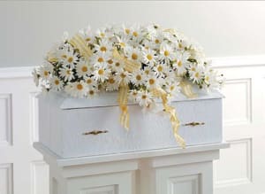 Garden Of Daisies Casket Spray Flower Bouquet