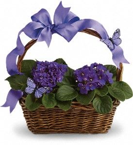 Violets And Butterflies Flower Bouquet