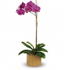 Imperial Purple Orchid Flower Bouquet