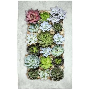 Succulents in Metal hanging Wall Piece