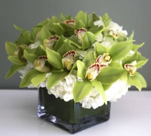 Orchids in a vase Flower Bouquet