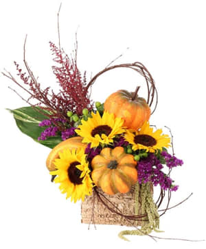 BLOOMING PUMPKIN PATCH Flower Bouquet