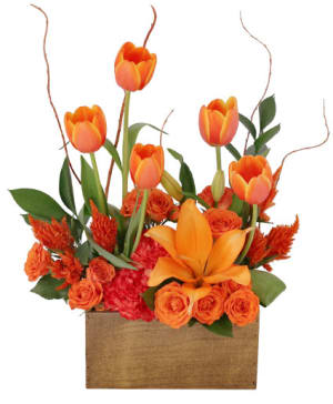 TULIPS ON FIRE Flower Bouquet