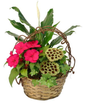 IVY & IMPATIENS Flower Bouquet