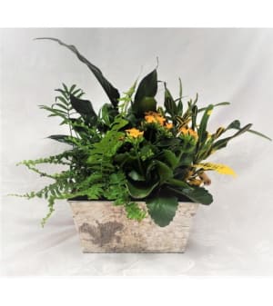 Traditional Tropical Planter Flower Bouquet