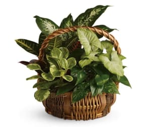 Planter Baskets - Various Sizes Flower Bouquet
