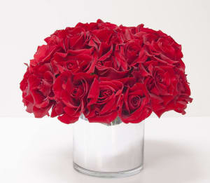 24 Red Roses In A Vase