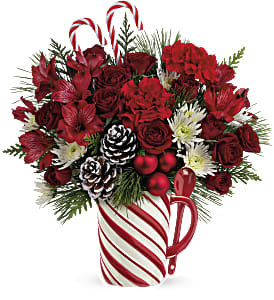 Teleflora's Send a Hug Sweet Stripes Bouquet Flower Bouquet