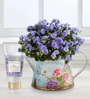 Spring Blooms Pitcher
 Flower Bouquet