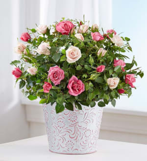 Summer Bi-Color Rose Garden Flower Bouquet