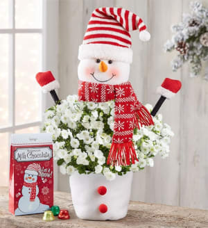 Frosty The Snow Plant + Free Candle Flower Bouquet