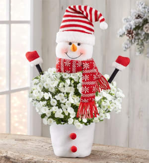 Frosty The Snow Plant + Free Candle Flower Bouquet