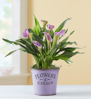 Summer Garden Calla Lily
 Flower Bouquet