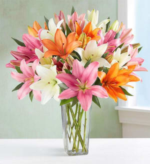 Vibrant Summer Lily Bouquet
 Flower Bouquet