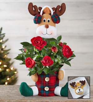 Red Rose Reindeer Flower Bouquet
