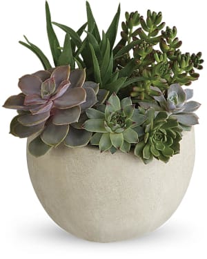 Desert Beauty Succulent Garden Flower Bouquet