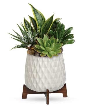 Teleflora's Modern Mood Succulent Garden Flower Bouquet