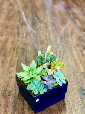 Mix Succulent 3 Flower Bouquet