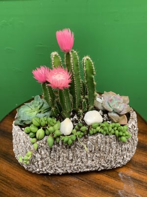 Succulent Mix 1 Flower Bouquet
