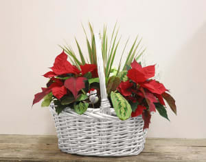 Willow Christmas basket 12" mixed Flower Bouquet