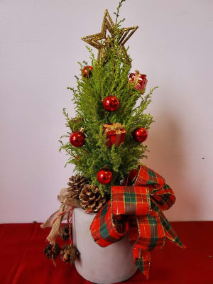 Lemon Pine Tree in Ceramic Flower Bouquet