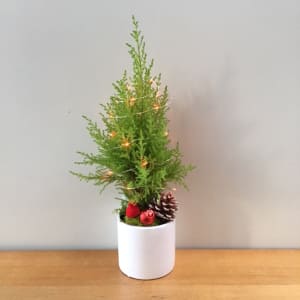 Table Top Tree  Flower Bouquet