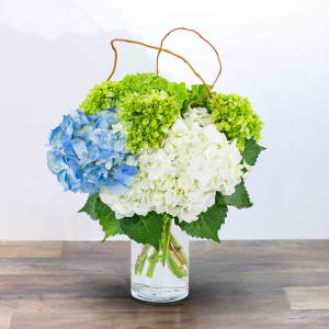 Hydrangea Perfection Flower Bouquet