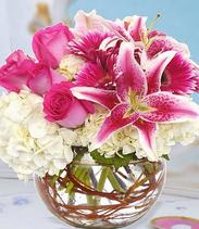 PINK SURPRISE

 Flower Bouquet