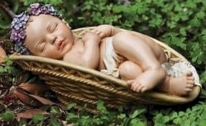 Baby in Basket Flower Bouquet