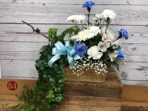 Vining Plant and Fresh Arrangement Combo Basket Flower Bouquet