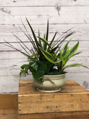 Dish Garden in Ceramic Container Flower Bouquet